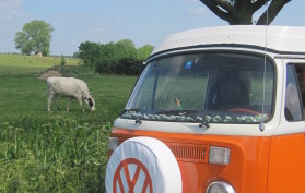 Boer zoekt vrouw busje huren